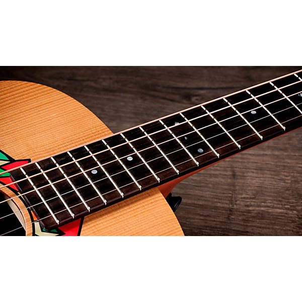 Taylor Jacob Collier GS Mini 5-String Acoustic Guitar - Custom Logo