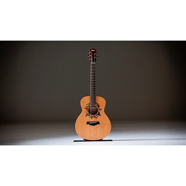 Taylor Jacob Collier GS Mini 5-String Acoustic Guitar - Custom Logo