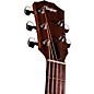 Taylor Jacob Collier Academy 22e 5-String Acoustic-Electric Guitar - Natural