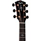 Taylor Gold Label 917e Grand Pacific Acoustic-Electric Guitar - Teardrop Sunburst