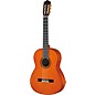 Yamaha GC12C Classical Nylon-String Guitar - Natural
