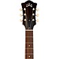 Guild D-40E Standard Dreadnought Acoustic-Electric Guitar - Pacific Sunset Burst