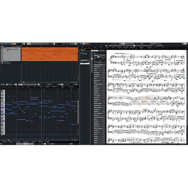 Steinberg Cubase Elements 15 DAW Software - Education Version