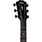 Taylor 324ce Builder's Edition Grand Auditorium Acoustic-Electric Guitar Tobacco Kona Burst