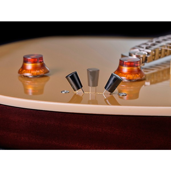 Yamaha Chris Buck Signature Revstar RS02CB Electric Guitar - Honey Gold