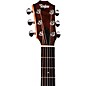 Taylor Zedd GS Mini Telos Special Edition Acoustic Guitar - Custom Graphic