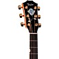 Taylor Doyle Dykes Signature Grand Auditorium Acoustic-Electric Guitar - Trans Orange