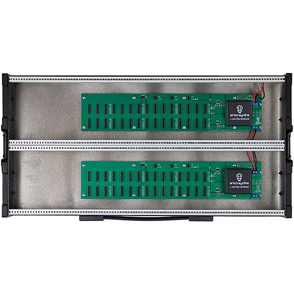 Erica Synths 2x104HP Aluminum Travel Case