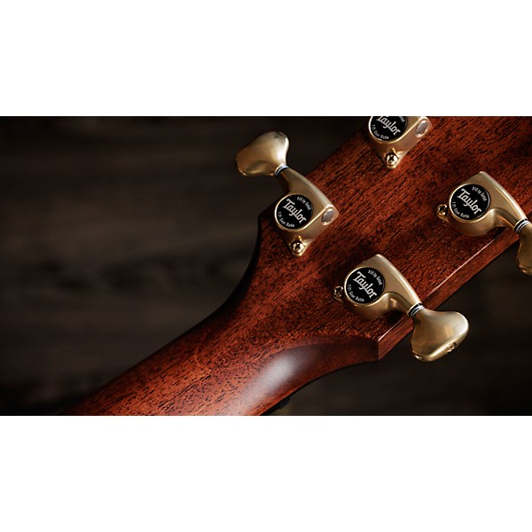 Taylor Next Generation 814ce Builder's Edition Grand Auditorium Acoustic-Electric Guitar - Kona Edgeburst