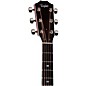 Taylor 810e Legacy Dreadnought Acoustic-Electric Guitar - Natural