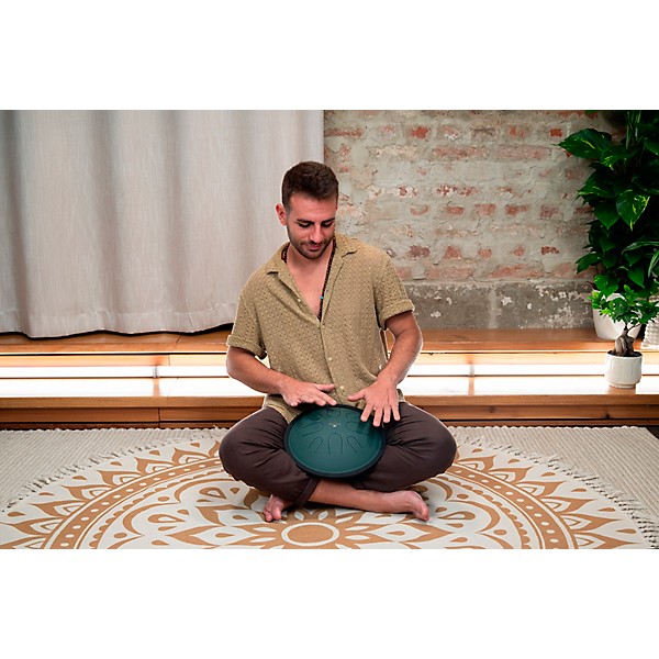 MEINL Sonic Energy Compact Steel Tongue Drum - B Minor, 10 in. Dark Green