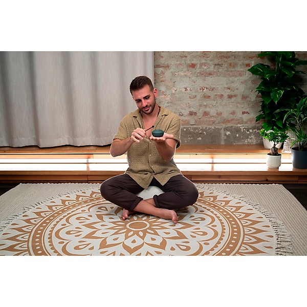 MEINL Sonic Energy Pocket Steel Tongue Drum - A Major, Germ of Life