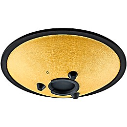 MEINL Sonic Energy Compact Steel Tongue Drum - D Minor, 10 in. Gold