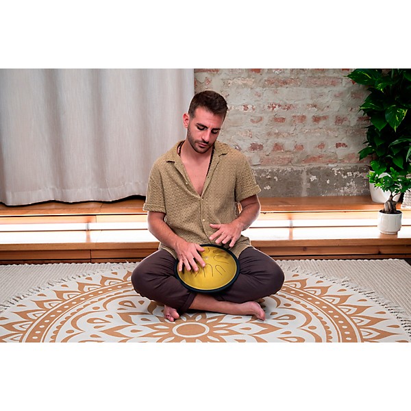 MEINL Sonic Energy Compact Steel Tongue Drum - D Minor, 10 in. Gold