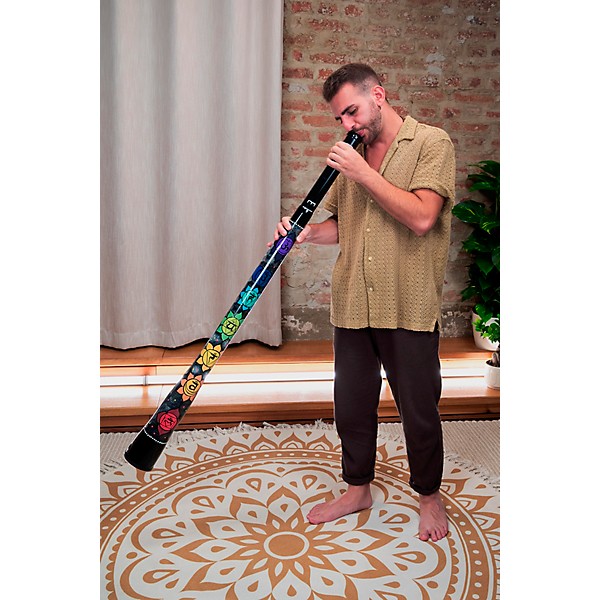 MEINL Sonic Energy Chakra Didgeridoo