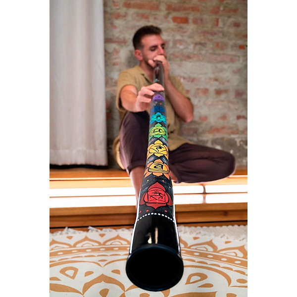 MEINL Sonic Energy Chakra Didgeridoo