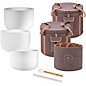 MEINL Sonic Energy Crystal Singing Bowl 3-Piece Set thumbnail