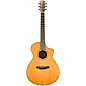 Breedlove Roots Rosewood Concert Cutaway Acoustic-Electric Guitar - Natural