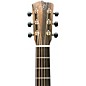 Breedlove Roots Rosewood Concert Cutaway Acoustic-Electric Guitar - Natural
