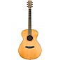 Breedlove Roots Rosewood Concert Acoustic-Electric Guitar - Natural