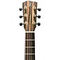 Breedlove Roots Rosewood Concert Acoustic-Electric Guitar - Natural