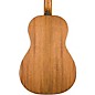 Breedlove Roots Parlor Acoustic-Electric Guitar - Edge Burst