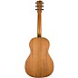 Breedlove Roots Parlor Acoustic-Electric Guitar - Edge Burst