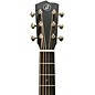 Breedlove Artisan Adirondack Spruce Concert Acoustic-Electric Guitar - Vintage Toner