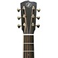 Breedlove Artisan Adirondack Spruce Concert Acoustic-Electric Guitar - Espresso Burst