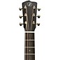 Breedlove Artisan Redwood Concert Acoustic-Electric Guitar - Edge Burst