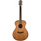 Breedlove Roots All-Mahogany Concert Acoustic-Electric Guitar - Natural