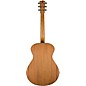 Breedlove Roots All-Mahogany Concert Acoustic-Electric Guitar - Natural