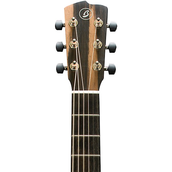 Breedlove Roots All-Mahogany Concert Acoustic-Electric Guitar - Natural