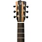 Breedlove Roots All-Mahogany Concert Acoustic-Electric Guitar - Natural