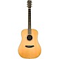 Breedlove Artisan Adirondack Spruce Dreadnought Acoustic-Electric Guitar - Vintage Toner