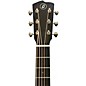 Breedlove Artisan Adirondack Spruce Dreadnought Acoustic-Electric Guitar - Edge Burst