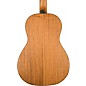 Breedlove Roots All-Mahogany Parlor Acoustic-Electric Guitar - Natural