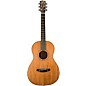Breedlove Roots All-Mahogany Parlor Acoustic-Electric Guitar - Natural