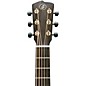 Breedlove Roots Rosewood Parlor Acoustic-Electric Guitar - Natural