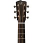 Breedlove Artisan Adirondack Spruce Parlor Acoustic-Electric Guitar - Tea Burst
