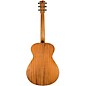 Breedlove Roots Concert Acoustic-Electric Guitar - Edge Burst