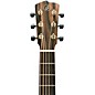 Breedlove Roots Concert Acoustic-Electric Guitar - Edge Burst