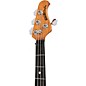 Ernie Ball Music Man StingRay Special H 4-String Electric Bass Guitar - Anomalous Green