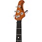Ernie Ball Music Man StingRay Special HH 4-String Electric Bass Guitar - Anomalous Green