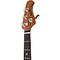 Ernie Ball Music Man StingRay Special HH 4-String Electric Bass Guitar - Translucent Orange