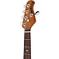 Ernie Ball Music Man StingRay Special 5 H 5-String Electric Bass Guitar - Violet Sparkle Burst