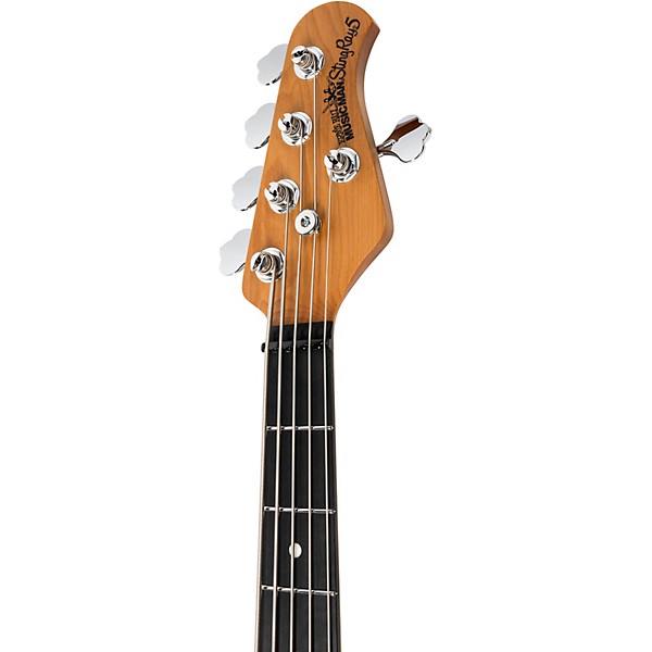 Ernie Ball Music Man StingRay Special 5 HH 5-String Electric Bass Guitar - Anomalous Green