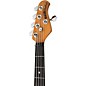 Ernie Ball Music Man StingRay Special 5 HH 5-String Electric Bass Guitar - Anomalous Green