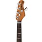 Ernie Ball Music Man StingRay Special 5 HH 5-String Electric Bass Guitar - Translucent Orange