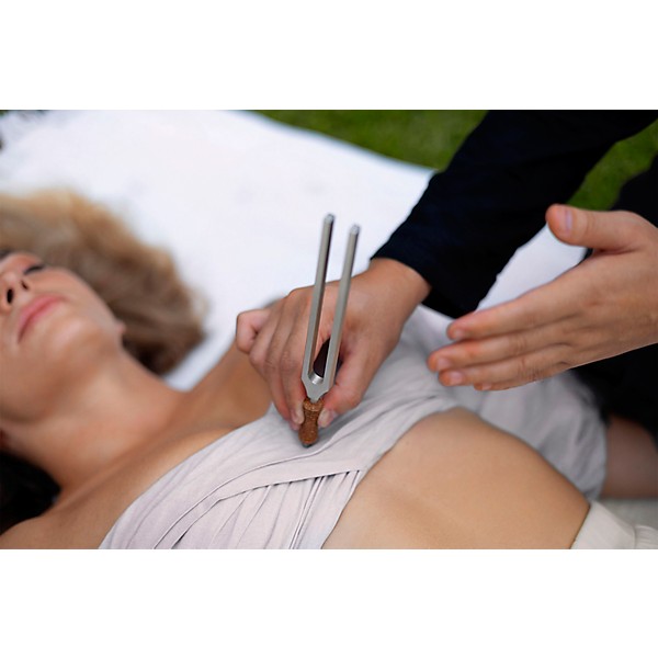 MEINL Sonic Energy TCM Therapy Tuning Fork 2-Piece Set With Holder - Yin & Yang